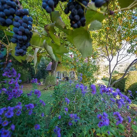 Vakantiehuis Winemakers Escape