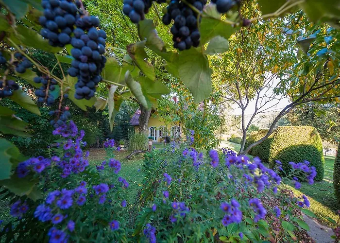 Casa de Férias Winemakers Escape